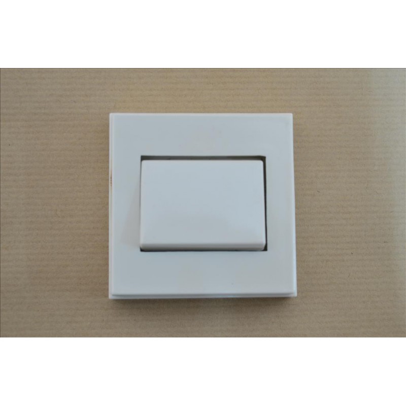 Interruptor Superficie 5001 10 A. Rfª. 6045